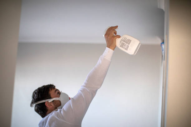 Best Residential Mold Remediation in North Chicago, IL