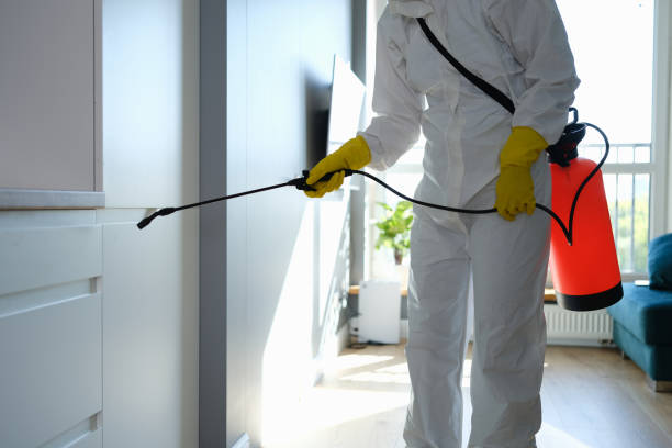 Best Bathroom Mold Remediation in North Chicago, IL