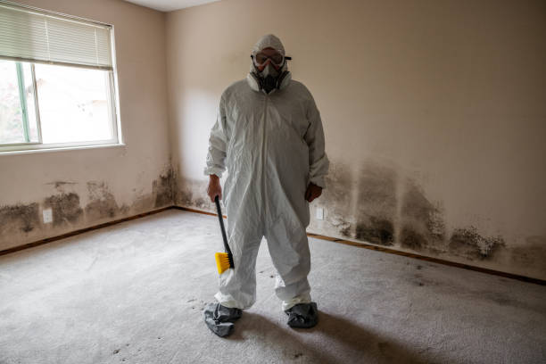 North Chicago, IL Mold Remediation Company